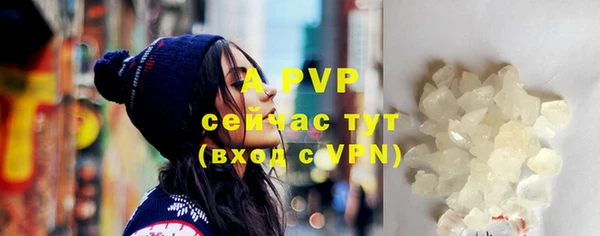 СК Медвежьегорск