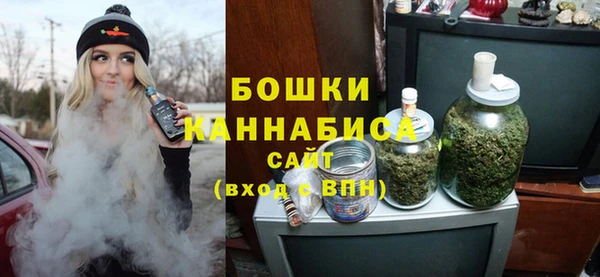 СК Медвежьегорск