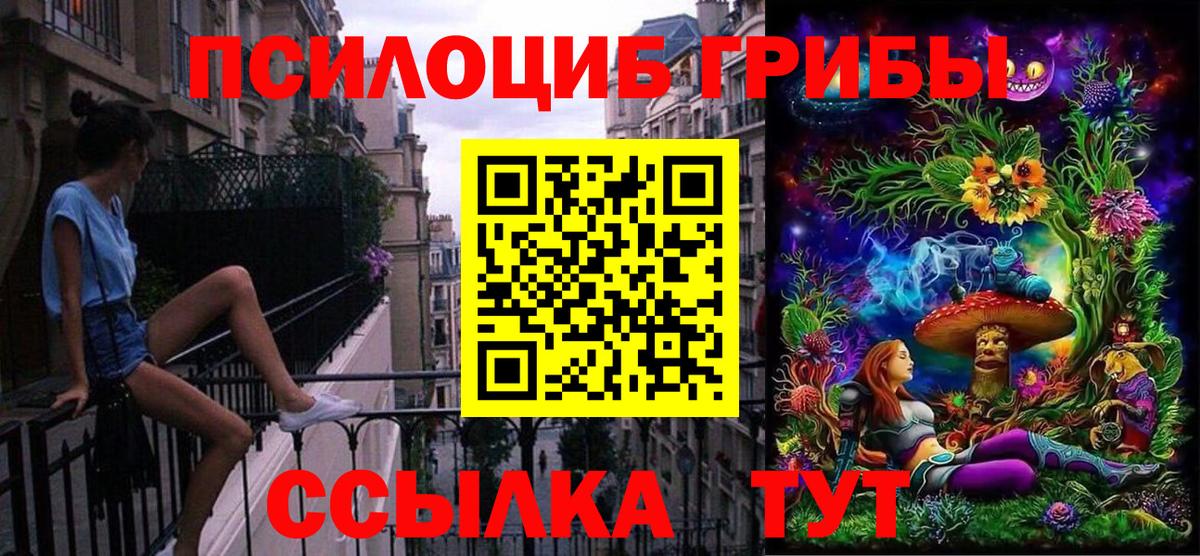 Галлюциногенные грибы GOLDEN TEACHER  Галлюциногенные грибы Psilocybine cubensis  Вход с VPN  Абакан 