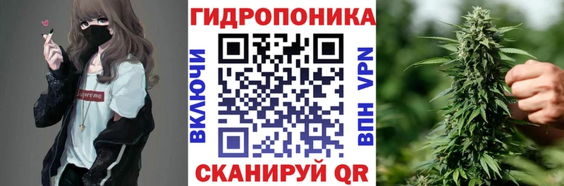 Бошки марихуана Amnesia  Абакан 